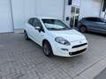 Fiat Punto Evo Punto EVO 1.2i Dynamic GARANTIE 12 MOIS Blanco - thumbnail 3