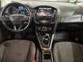 Ford Focus 1.0 Ecoboost Auto-S&S Sport 125 Rojo - thumbnail 10