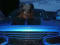 Dodge RAM 1500 Crew Cab Sport -Europamodell (kein Import)- Blue - thumbnail 2
