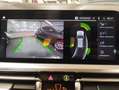 BMW 320 xDrive Touring Luxury -TETTO - LED - GAR 24 MESI Grigio - thumbnail 25
