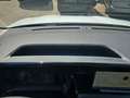 Ford Transit Courier Kasten Trend 1,0L Eboost 100PS M FWD Weiß - thumbnail 17