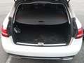 Mercedes-Benz C 220 d Estate Blanco - thumbnail 17