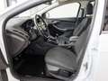 Ford Focus EcoBoost Titanium SHZ+PDC+Privacy+Klimaaut+Keyless Blanco - thumbnail 7
