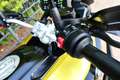 BMW F 750 GS F750GS ESA OBC HVW QSHIFT CRUISE Gold - thumbnail 14