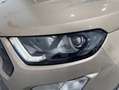 Ford EcoSport ST Line Amarillo - thumbnail 32