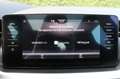 Skoda Kamiq 1.0 TSI Sport Business Pano, digi dash, NAP Wit - thumbnail 34