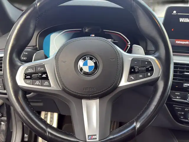 BMW 5 Series view 14