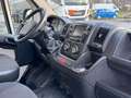 Citroen Jumper Kasten 33 L1H1 Profi BlueHDi 130 Schwarz - thumbnail 15