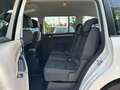 Volkswagen Touran Comfortline EcoFuel Navi PDC Xenon Shz Blanco - thumbnail 7