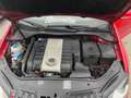 Volkswagen Golf GTI 5p 2.0 tfsi dsg LEGGERMETE GRANDINATA Rouge - thumbnail 8