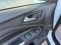 Ford Kuga Kuga 1.5 TDCI 120 CV S&S 2WD Business Blanc - thumbnail 15