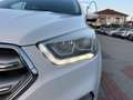 Ford Kuga Kuga 1.5 TDCI 120 CV S&S 2WD Business Blanc - thumbnail 9