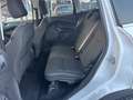 Ford Kuga Kuga 1.5 TDCI 120 CV S&S 2WD Business Blanc - thumbnail 22