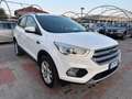 Ford Kuga Kuga 1.5 TDCI 120 CV S&S 2WD Business Blanc - thumbnail 8