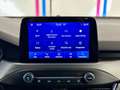 Ford Focus Focus 1.0 EcoBoost Hybrid 125 CV 5p. ST-Line Gris - thumbnail 21