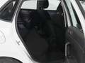 Volkswagen Polo 1.0 TSI Advance 70kW Blanco - thumbnail 6