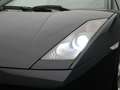Lamborghini Gallardo MANUAL (Nur fur handler) 5.0 V10 Handschalter/ MAN Bleu - thumbnail 13