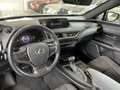 Lexus UX 250h Hybrid Business Grigio - thumbnail 9