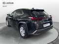 Lexus UX 250h Hybrid Business Grigio - thumbnail 7