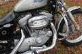 Harley-Davidson Sportster XL 883 sportster 883 low Plateado - thumbnail 9
