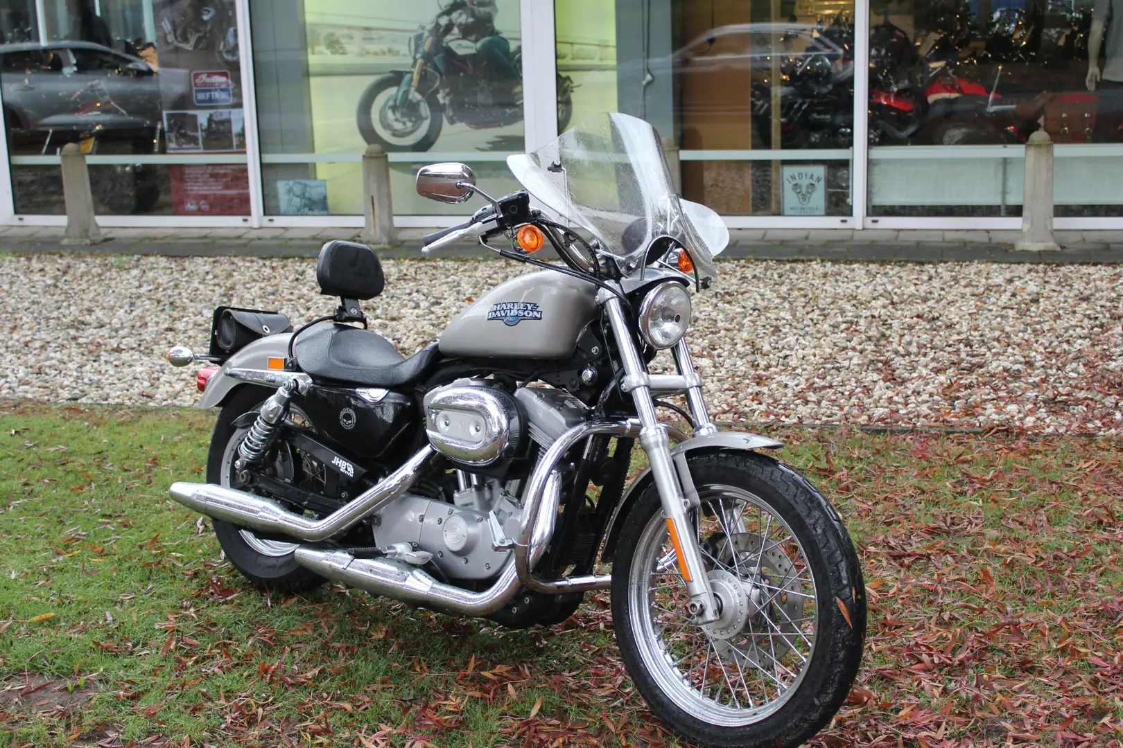 Harley-Davidson Sportster XL 883 sportster 883 low Срібний - 2