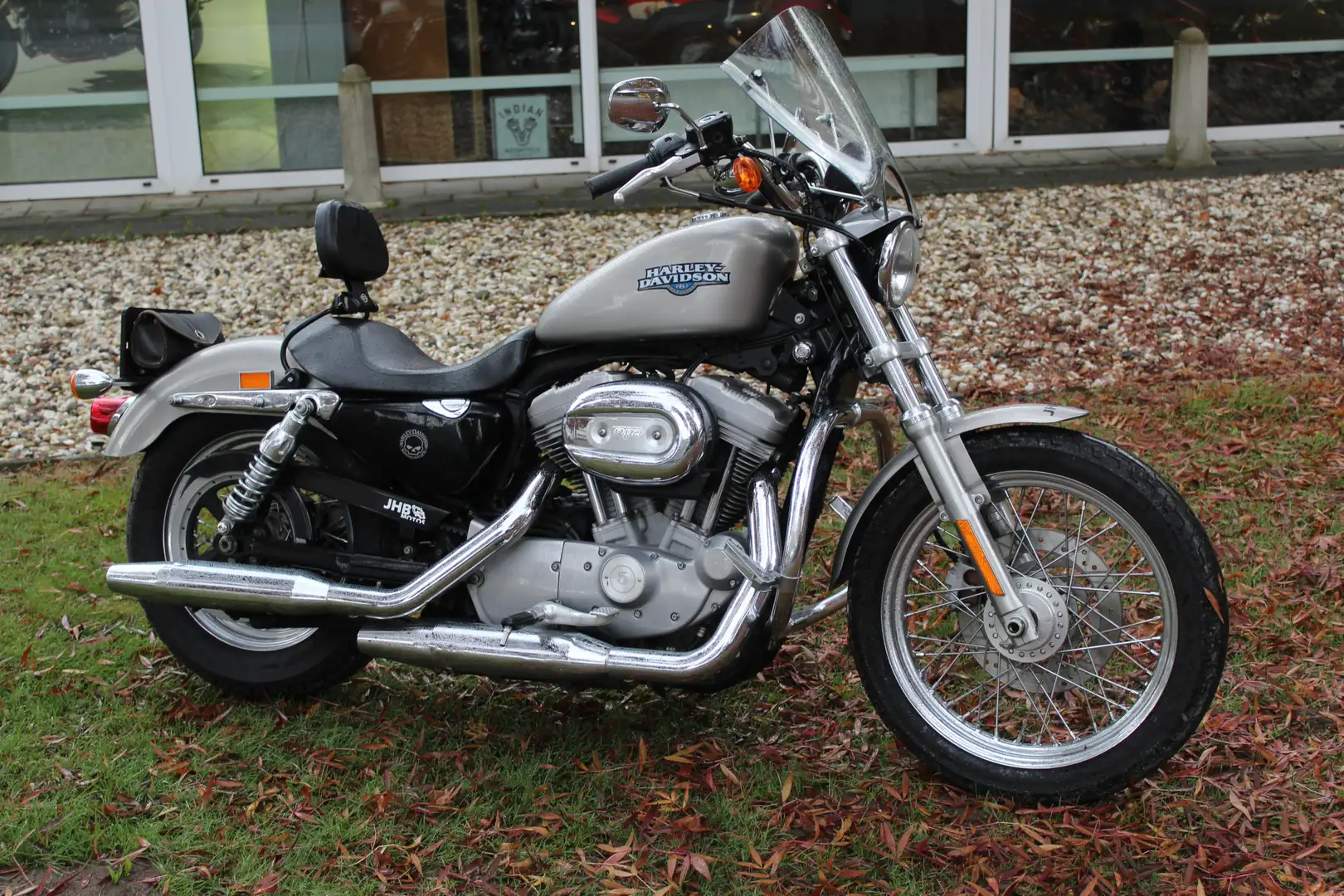 Harley-Davidson Sportster XL 883 sportster 883 low Stříbrná - 2