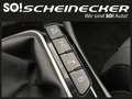 Kia Sportage 1,6 TGDI 48V Gold AWD (1,99% Fixzins Aktion) Schwarz - thumbnail 20