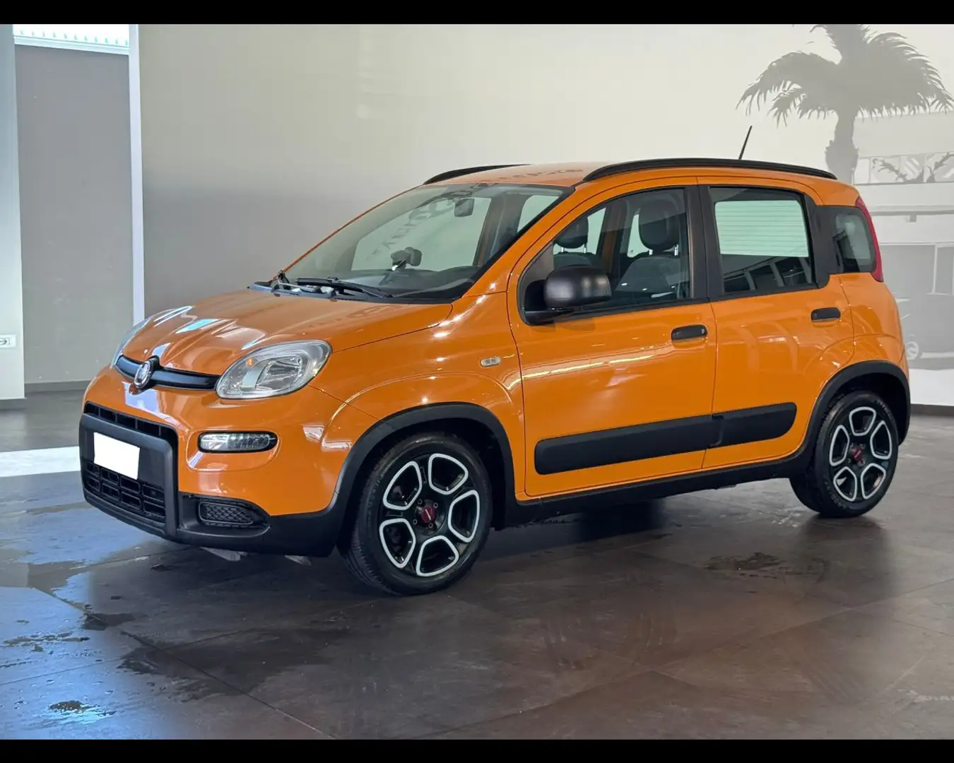 Fiat Panda 3ª serie 1.0 FireFly S&S Hybrid City Life Arancione - 1