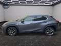 Lexus UX 250h 250h Hybride - Toit Ouvrant 04/2019 44.253 KMS 4WD F Sport EXECUTIVE Gris - thumbnail 22