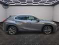 Lexus UX 250h 250h Hybride - Toit Ouvrant 04/2019 44.253 KMS 4WD F Sport EXECUTIVE Gris - thumbnail 18