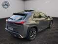 Lexus UX 250h 250h Hybride - Toit Ouvrant 04/2019 44.253 KMS 4WD F Sport EXECUTIVE Gris - thumbnail 19