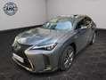 Lexus UX 250h 250h Hybride - Toit Ouvrant 04/2019 44.253 KMS 4WD F Sport EXECUTIVE Gris - thumbnail 1