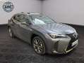 Lexus UX 250h 250h Hybride - Toit Ouvrant 04/2019 44.253 KMS 4WD F Sport EXECUTIVE Gris - thumbnail 23