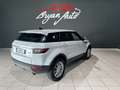 Land Rover Range Rover Evoque 5p 2.0 td4 Pure 180cv - thumbnail 4