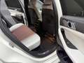 BMW X6 Baureihe X6 xDrive 40 d M Sport°H&K°Cam°LUFT° Weiß - thumbnail 23