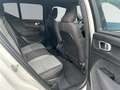 Volvo XC40 B4 Benzin Plus Dark 18'' Allwetter AHK LED Harman Blanc - thumbnail 5