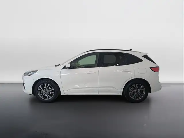 Ford Kuga view 6