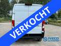 Fiat Ducato serie 7 3.0T L2H2 2.2 MultiJet 120 PK Wit - thumbnail 9