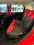 Fiat 500L 500L 1.4 benzina 95cv Pop (anche neopatentati) Rouge - thumbnail 9