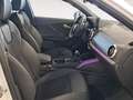 Audi Q2 ADRENALIN 35 TDI 110(150) KW(CV) S TRONIC Weiß - thumbnail 6