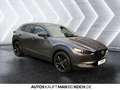 Mazda CX-30 BOSE KEYLESS 18° LED KAM ACC DAB Grau - thumbnail 6