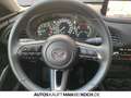 Mazda CX-30 BOSE KEYLESS 18° LED KAM ACC DAB Grau - thumbnail 10