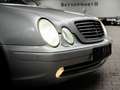 Mercedes-Benz CLK 55 AMG CLK 55 AMG Sitzheizung Multi Leder Silber - thumbnail 26
