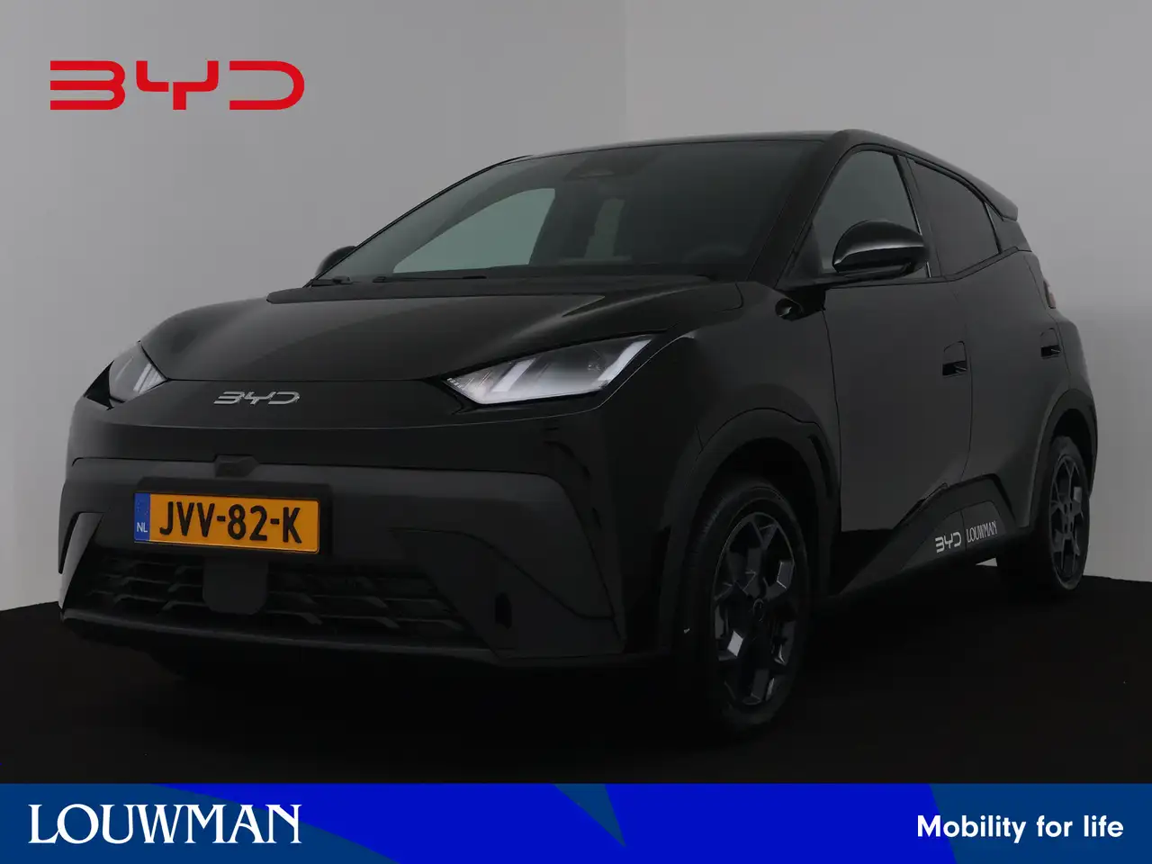 BYD Dolphin Surf 2026