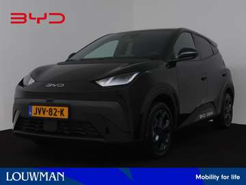 Comfort 43 kWh | Origineel NL!