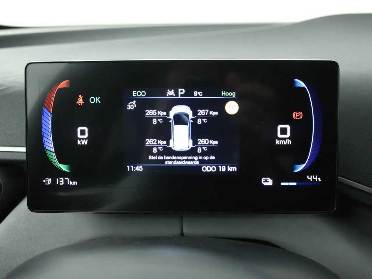 BYD Dolphin Surf 2026