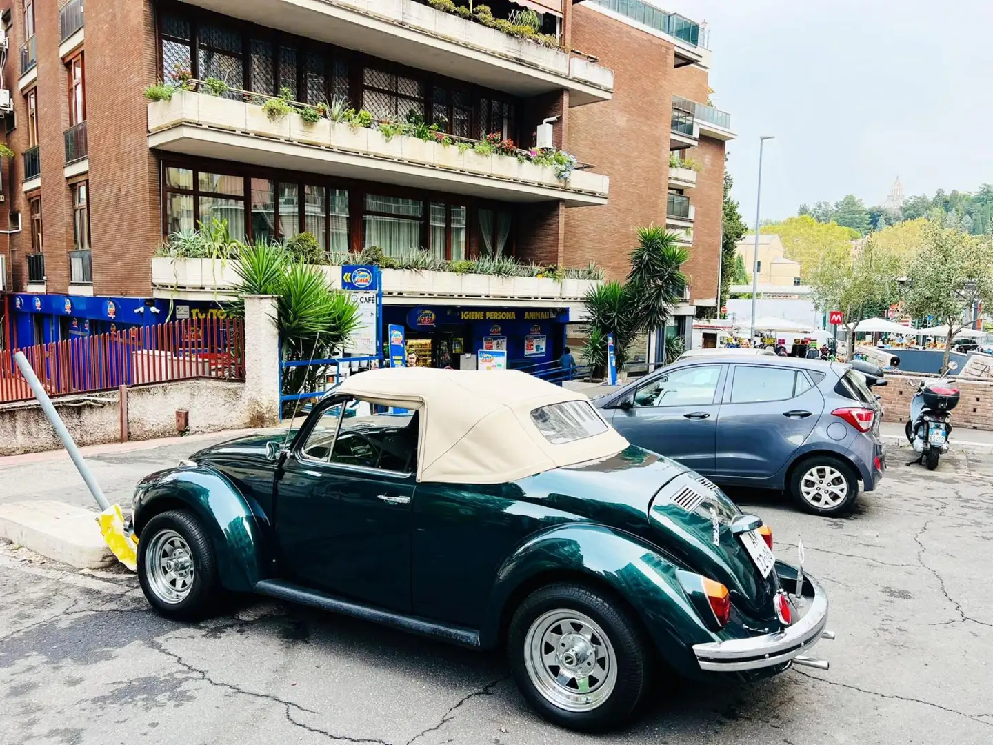 Volkswagen Maggiolino SPEEDSTER - 2