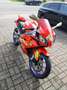 Aprilia RS 125 Replica Jorge Lorenzo Rouge - thumbnail 3