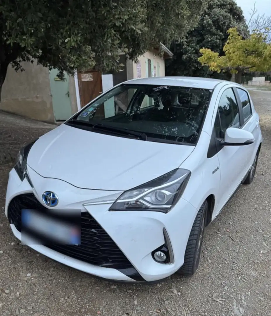 Toyota Yaris 5p 100h Dynamic MY19 - 2