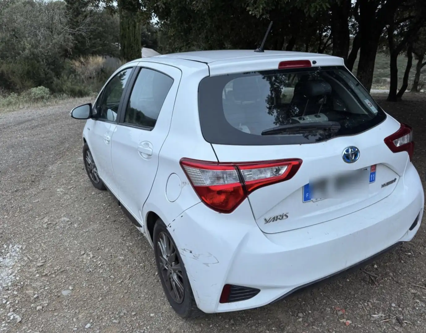 Toyota Yaris 5p 100h Dynamic MY19 - 1